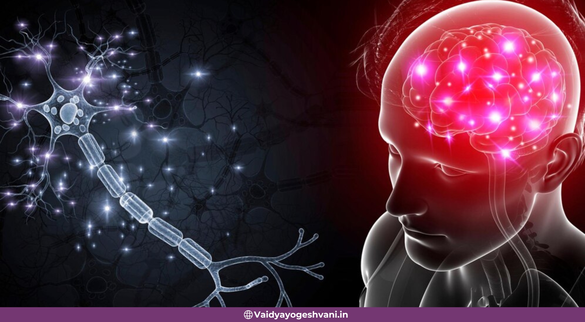 Ayurvedic Therapies for Motor Neuron Disease
