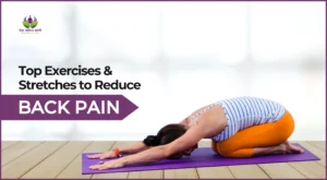 Top Exercises & Stretches to Reduce Back Pain